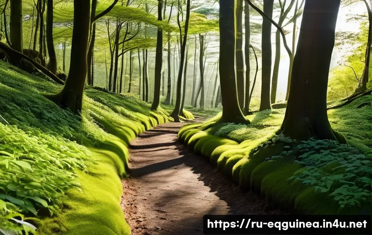 코로코로 국립공원 탐방 관련 이미지 1